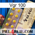 Vgr 100 new06